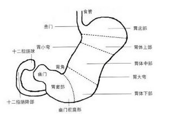 θ