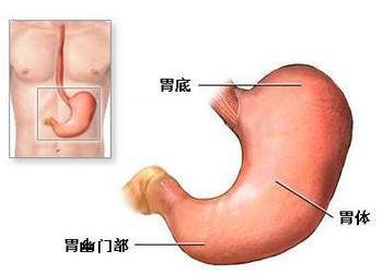 θ´
